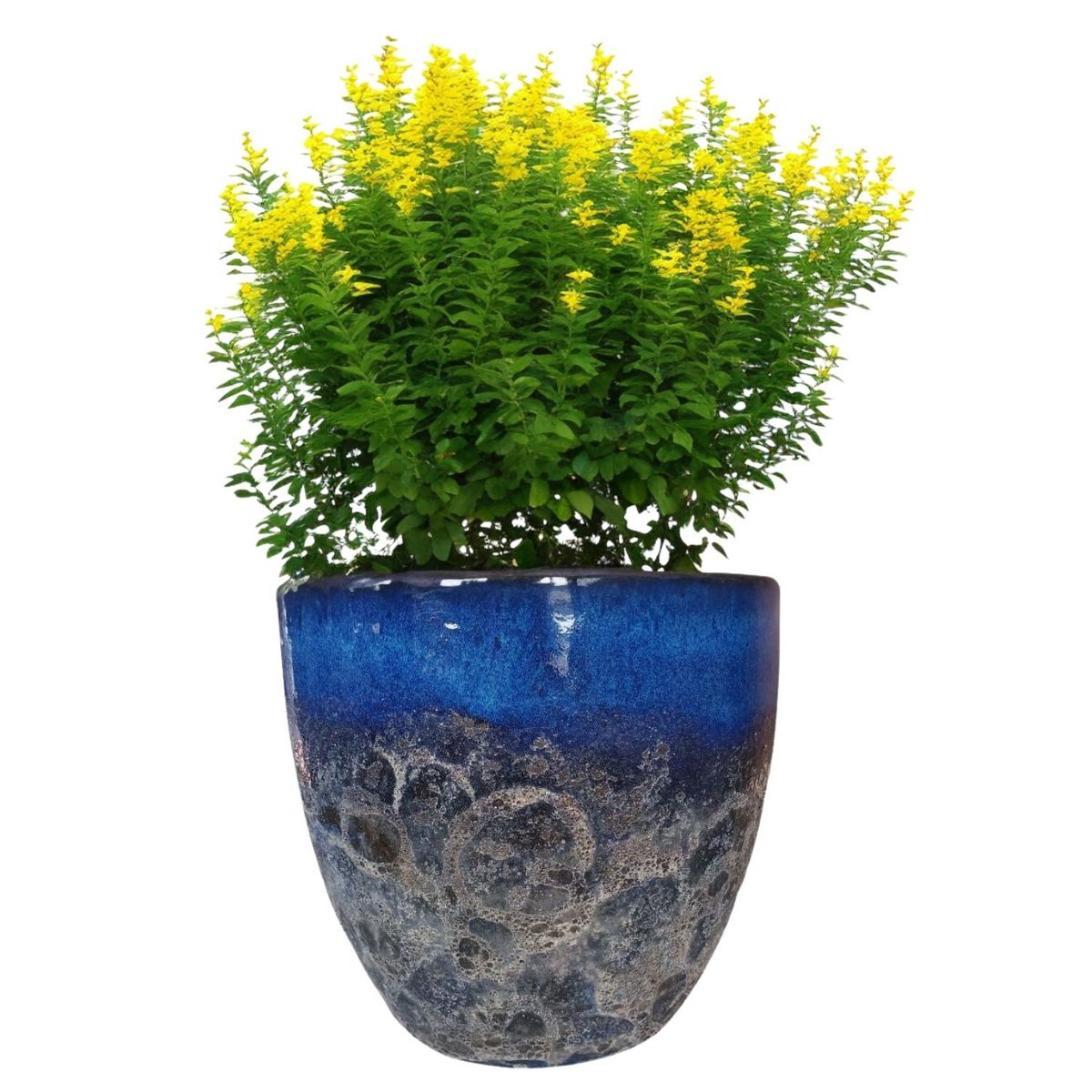 DEROMA - Maceta Seaside 36cm Ovalada Azul Cerdeña Deroma