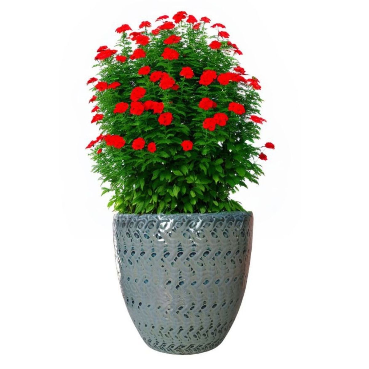 DEROMA - Maceta Woolly 36cm Verde Costa Deroma