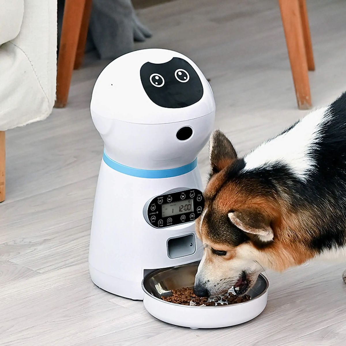 ACTUAL - Robot Alimentación Dispensador Automático Para Mascotas