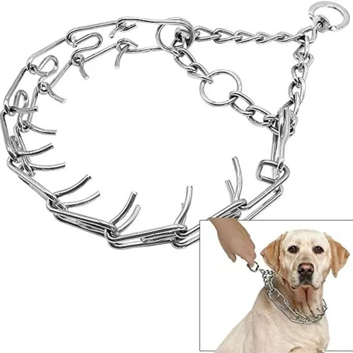DEFENSOR FOREVER - Collar Adiestramiento Para Perros Con Medida De Cuello 50cm