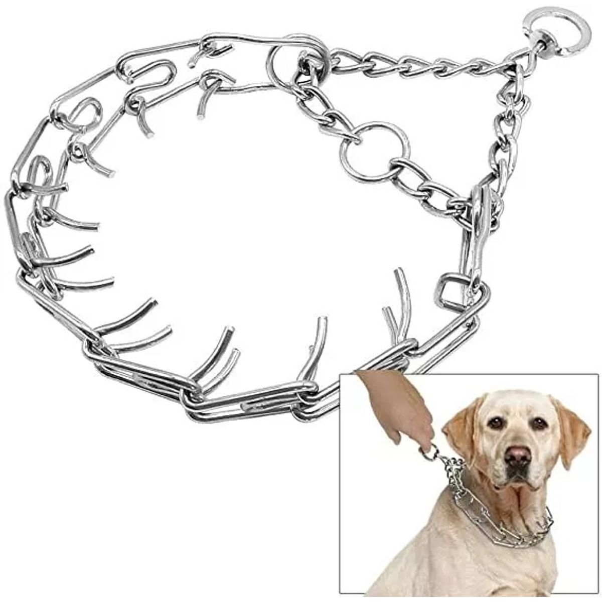 DEFENSOR FOREVER - Collar Adiestramiento Para Perros Con Medida De Cuello 50cm