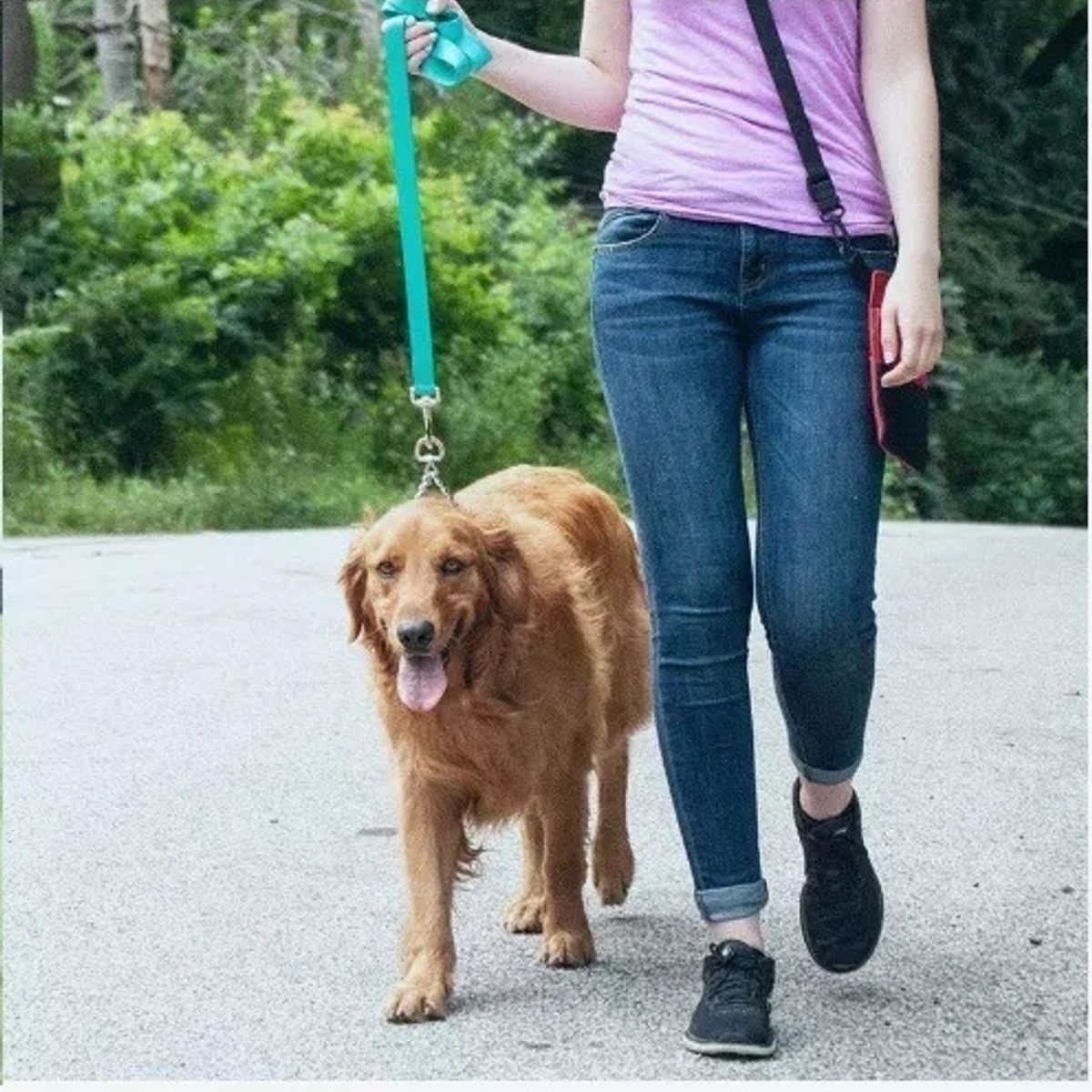 DEFENSOR FOREVER - Collar Adiestramiento Para Perros Con Medida De Cuello 50cm