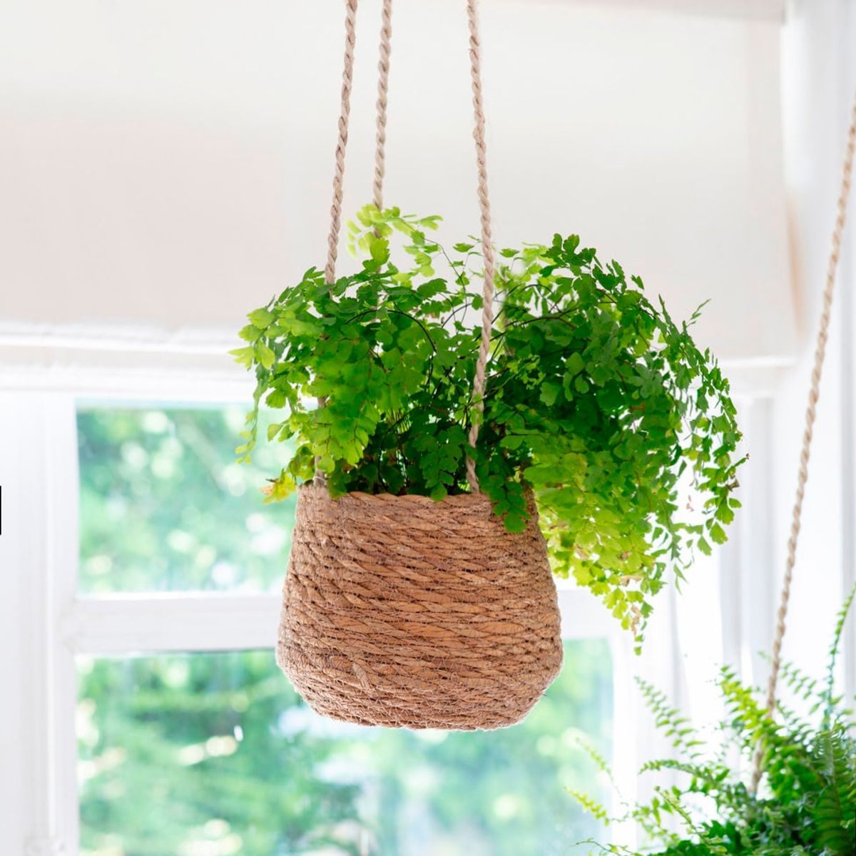 LA SILLERIA - MACETA COLGANTE BALÚ L