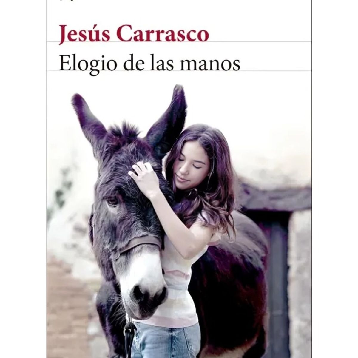 TOP10BOOKS - LIBRO Elogio De Las Manos Premio Biblioteca Breve