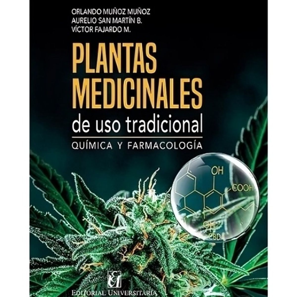 TOP10BOOKS - LIBRO Ciudades Emergentes - Ciudades Emergentes