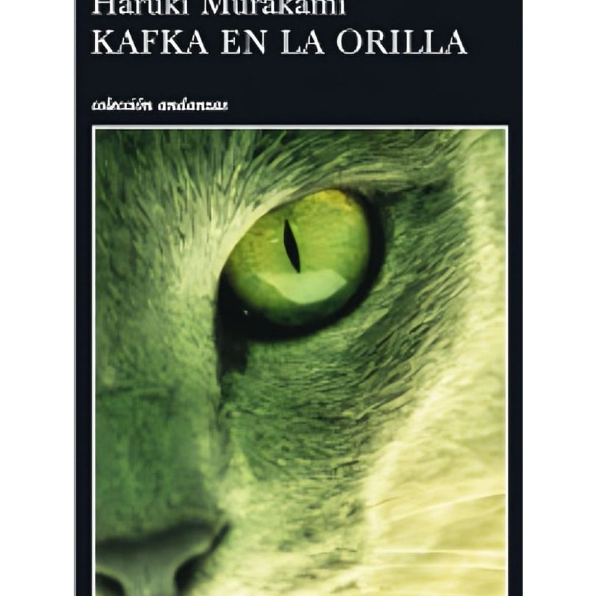 TOP10BOOKS - LIBRO Kafka En La Orilla - Kafka En La Orilla