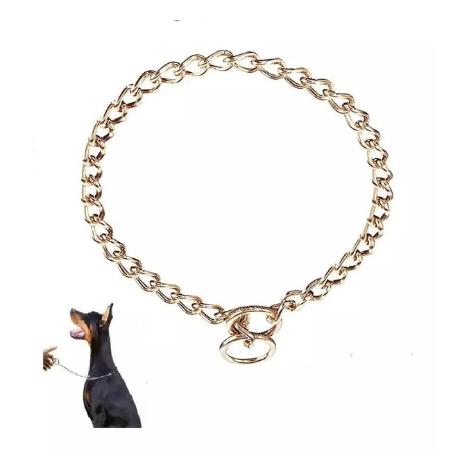 DEFENSOR FOREVER - Collar De Adiestramiento de metal dorado, 70 Cm de largo