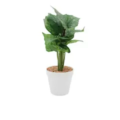 GENERICO - Planta artificial con maceta