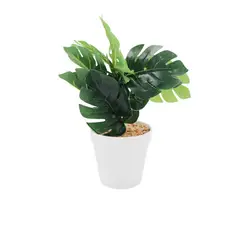 GENERICO - Planta artificial con maceta de 21cm