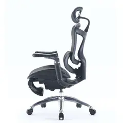 ERGOSTORE - ERGO SMART Silla de Oficina ergonómica con reposabrazos 6D Ultra Suaves