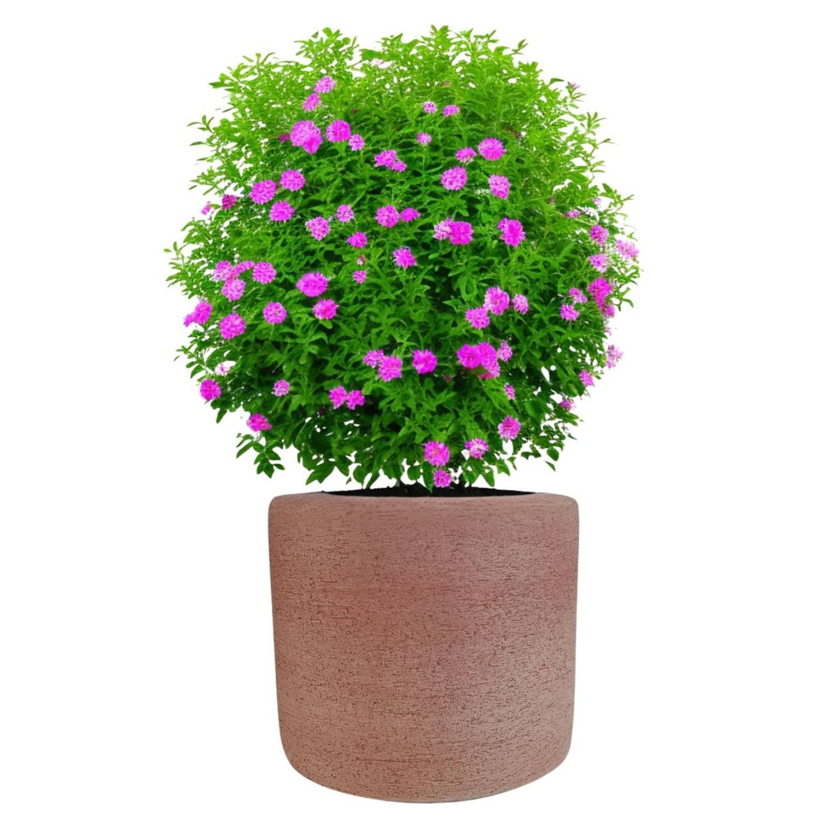 DEROMA - Maceta Luna 15cm Terracota Deroma