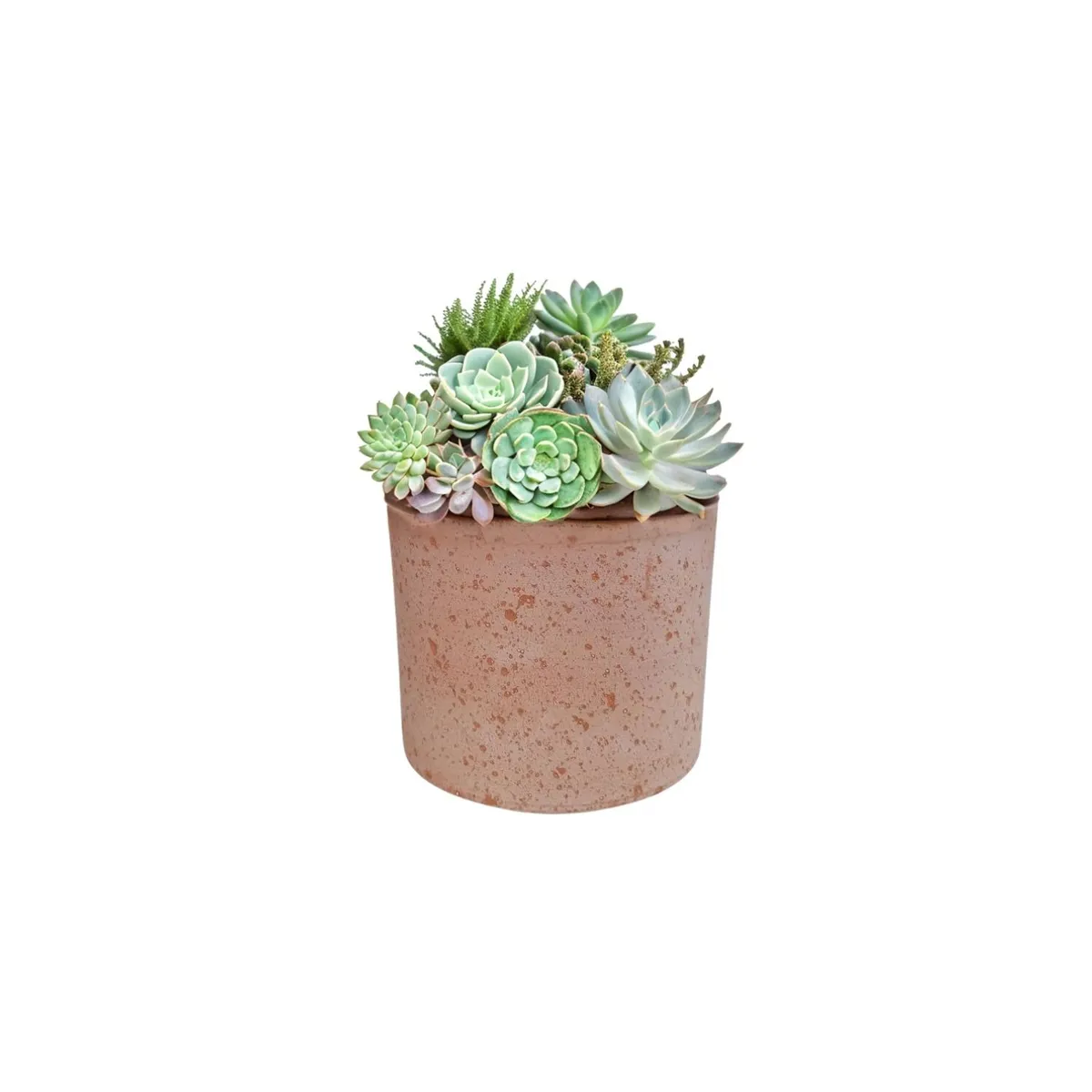 DEROMA - Maceta Mini Luna 11cm Terracota Deroma