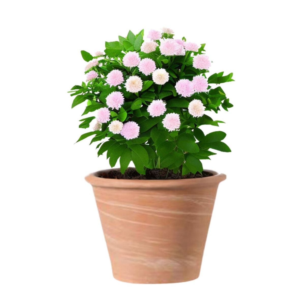 DEROMA - Maceta Vasum 31cm TerraDuo Deroma