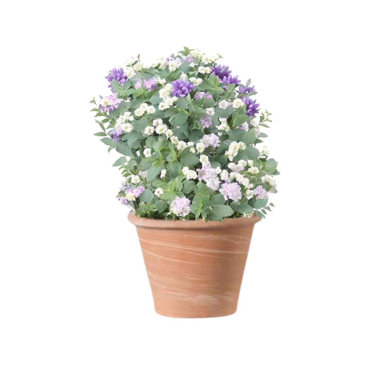 DEROMA - Maceta Vasum 25cm TerraDuo Deroma