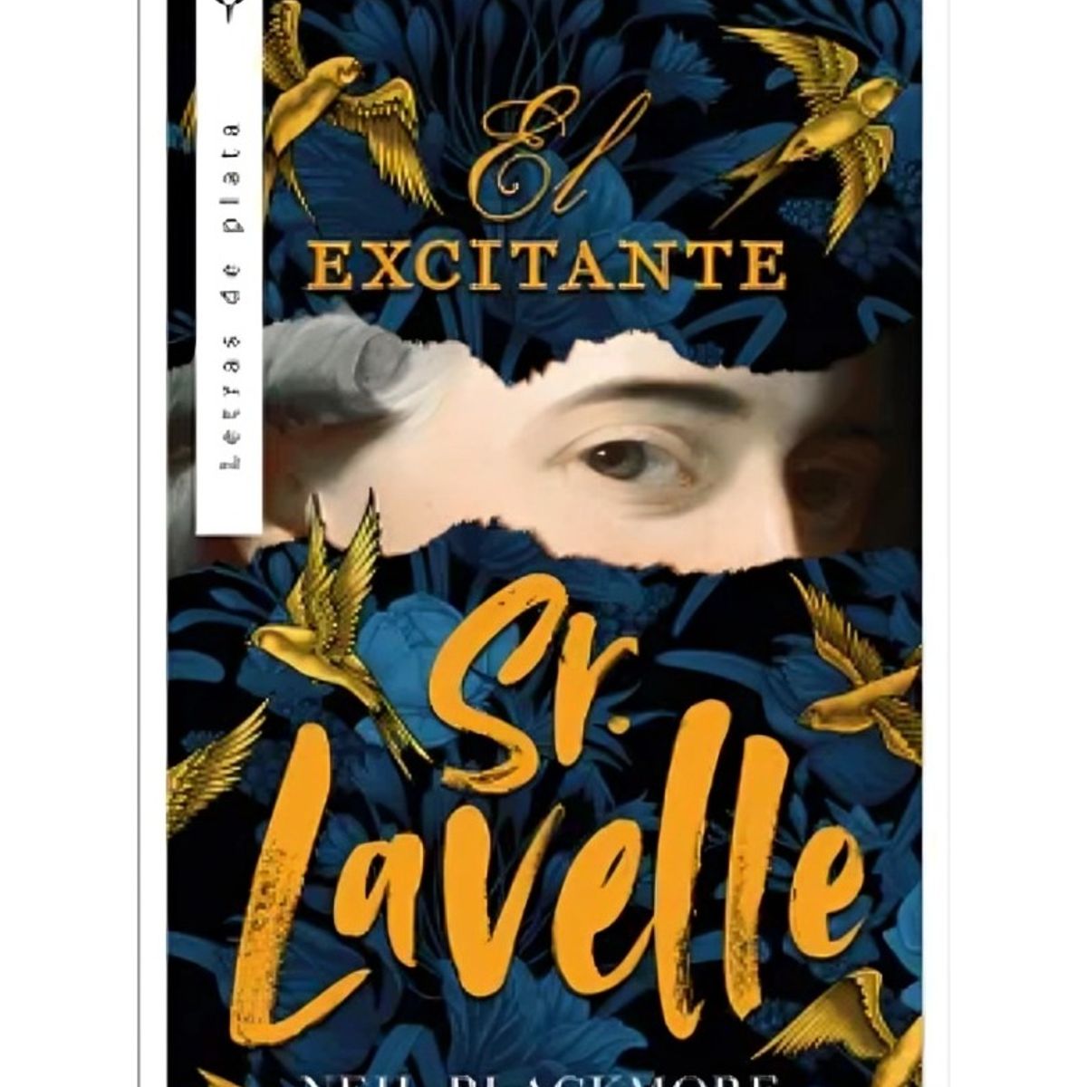 TOP10BOOKS - LIBRO El Excitante Señor Lavelle - El Excitante Señor Lavelle