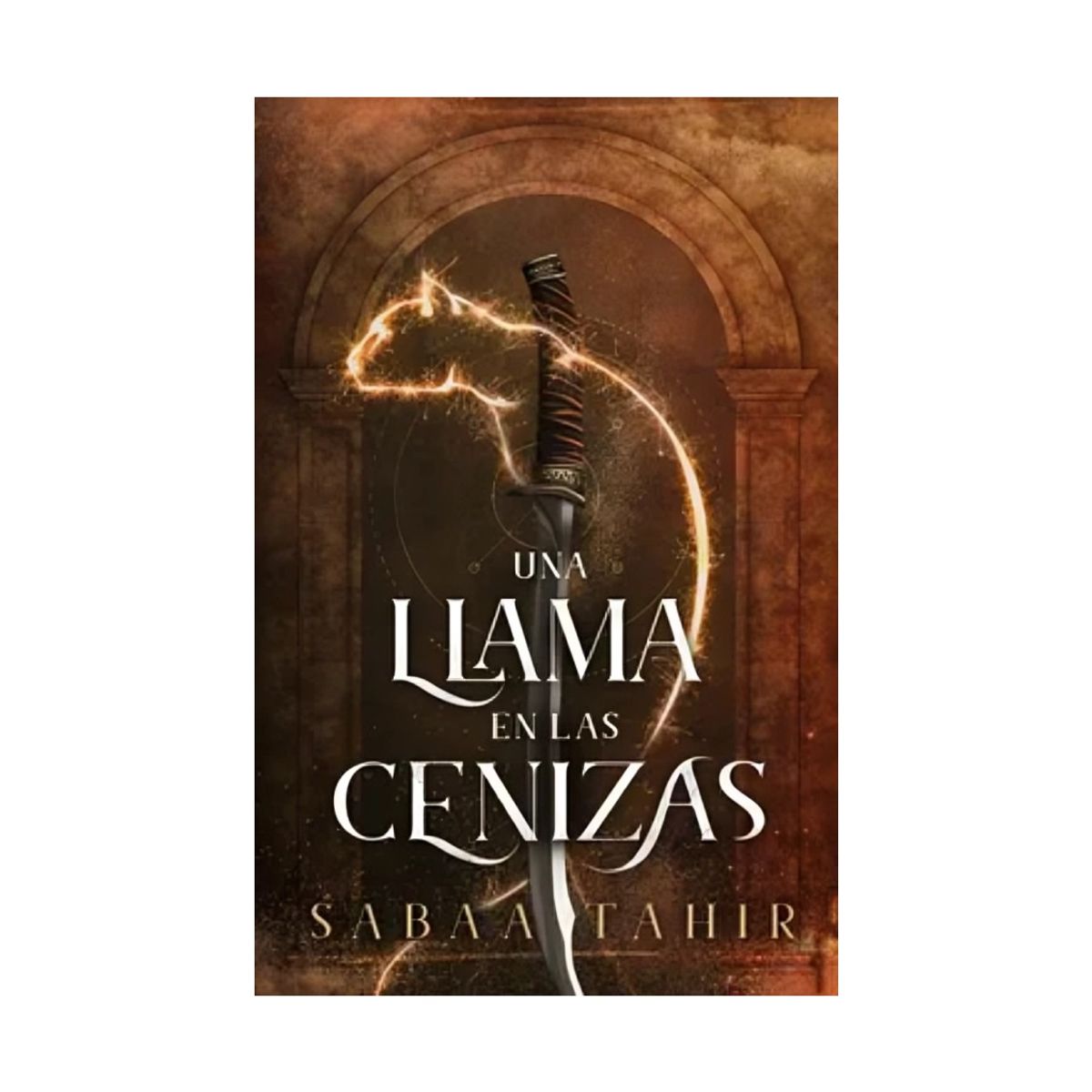 TOP10BOOKS - LIBRO Una Llama En Las Cenizas - Una Llama En Las Cenizas