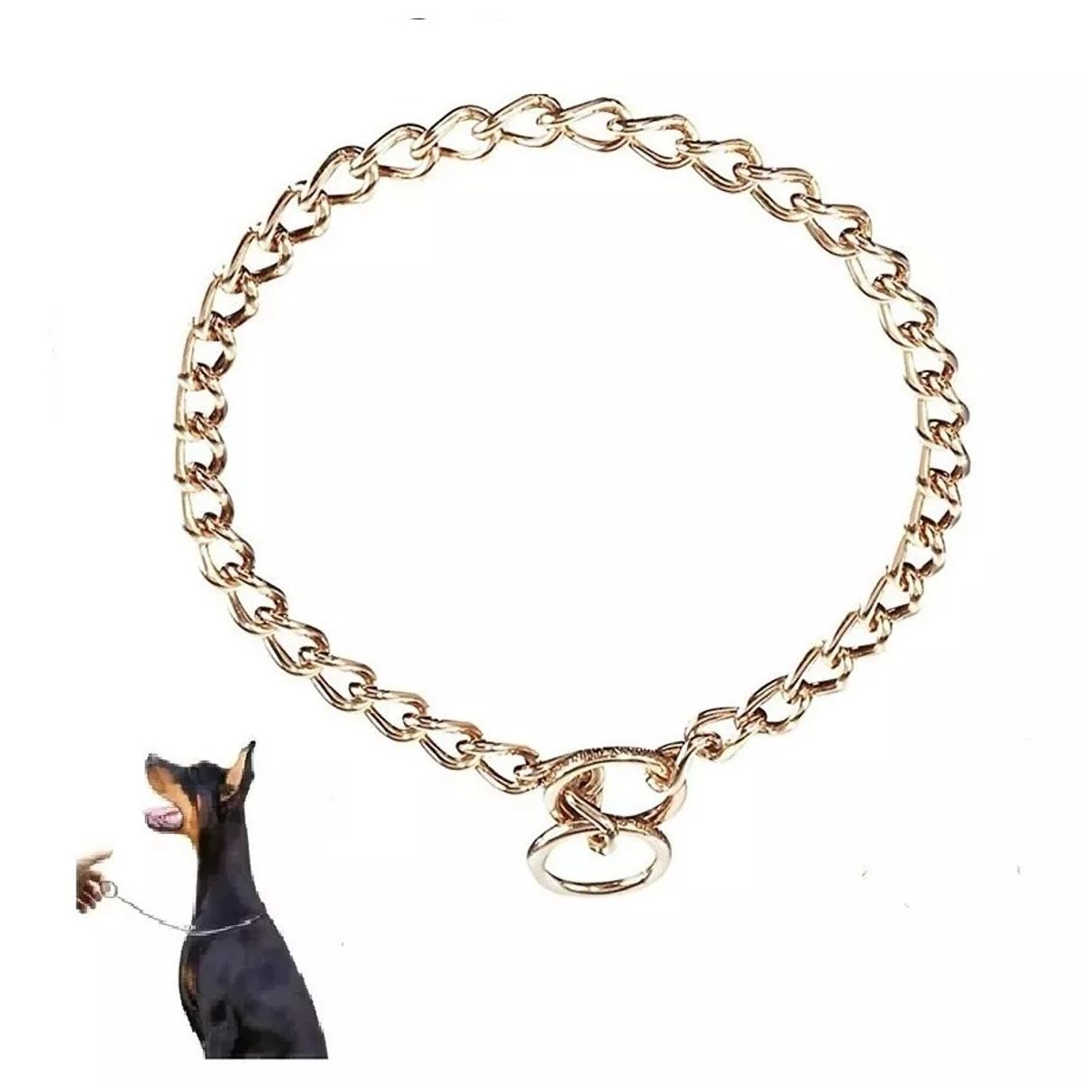 DEFENSOR FOREVER - Collar De Adiestramiento de metal dorado, 60 Cm de largo