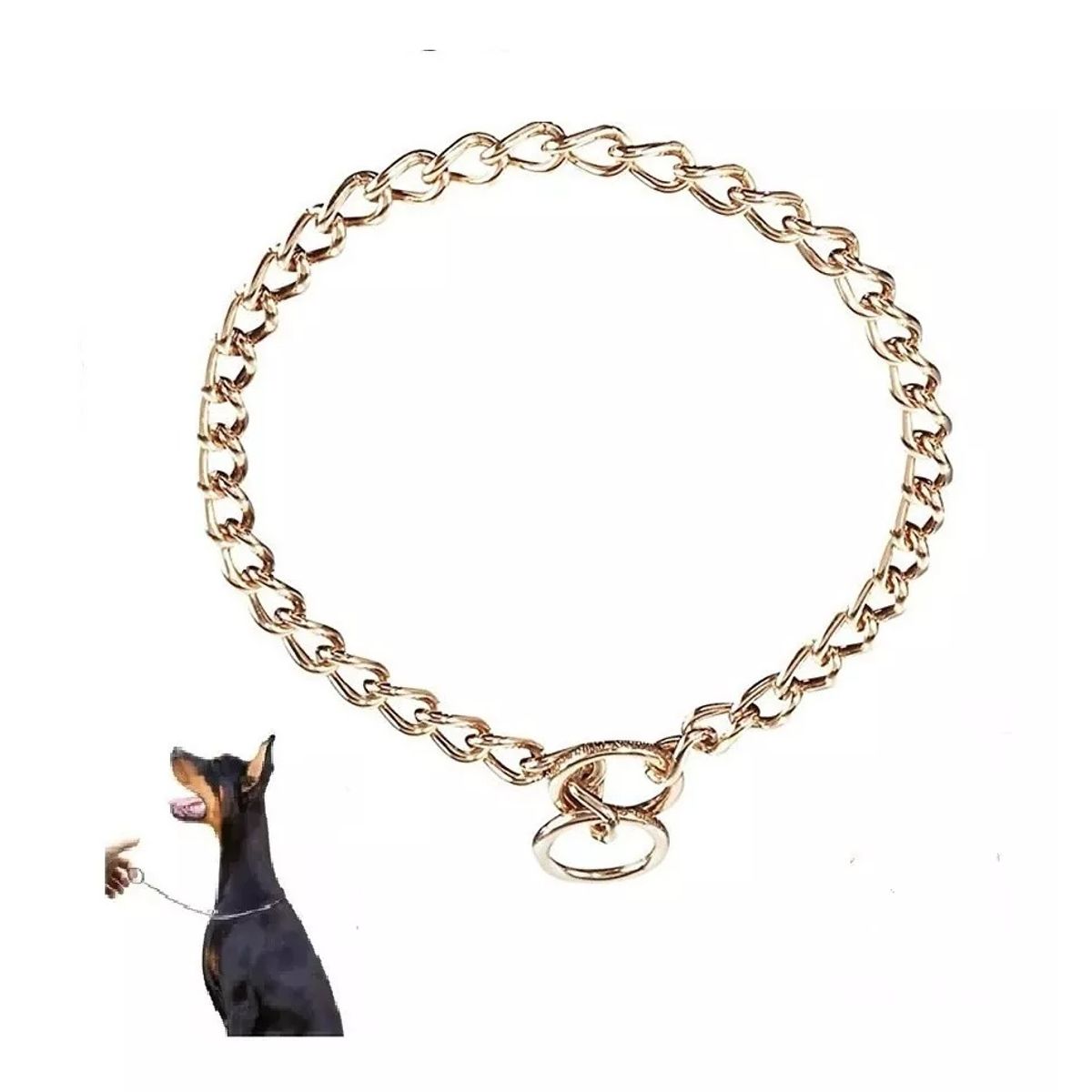 DEFENSOR FOREVER - Collar De Adiestramiento de metal dorado, 60 Cm de largo