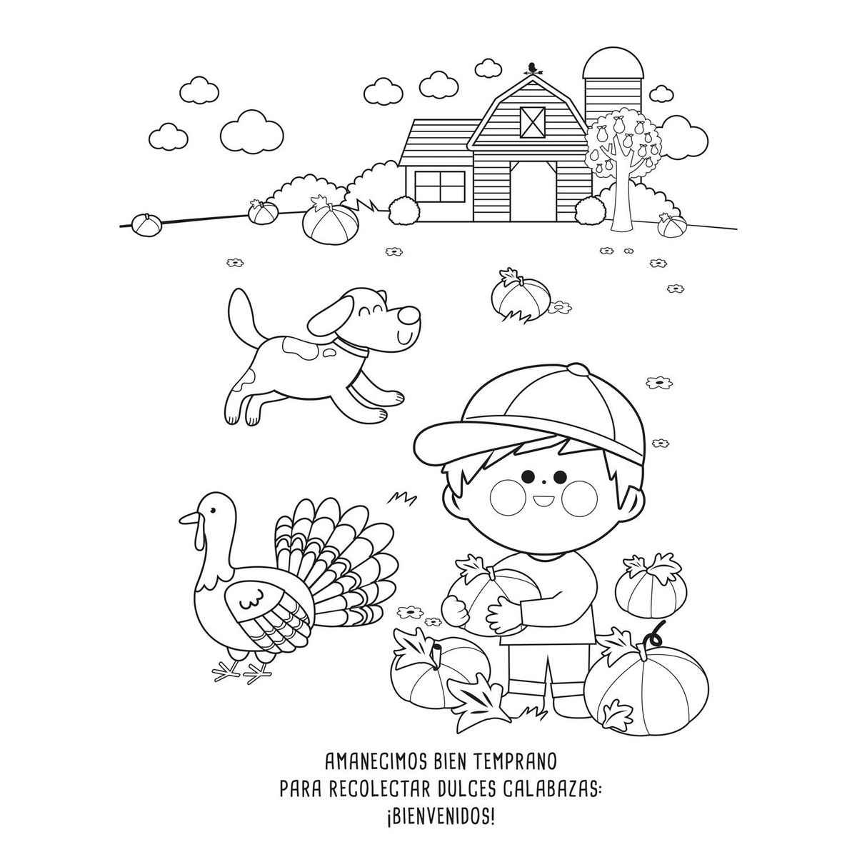 EDITORIAL GUADAL - LIBRO LEO Y COLOREO SUPERPACK - GRANJA