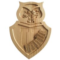 TABLA PICOTEO DISEÑO 40X50