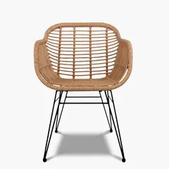 FORM DESIGN - Silla Comedor c/brazo Terraza Ratan Creta Form
