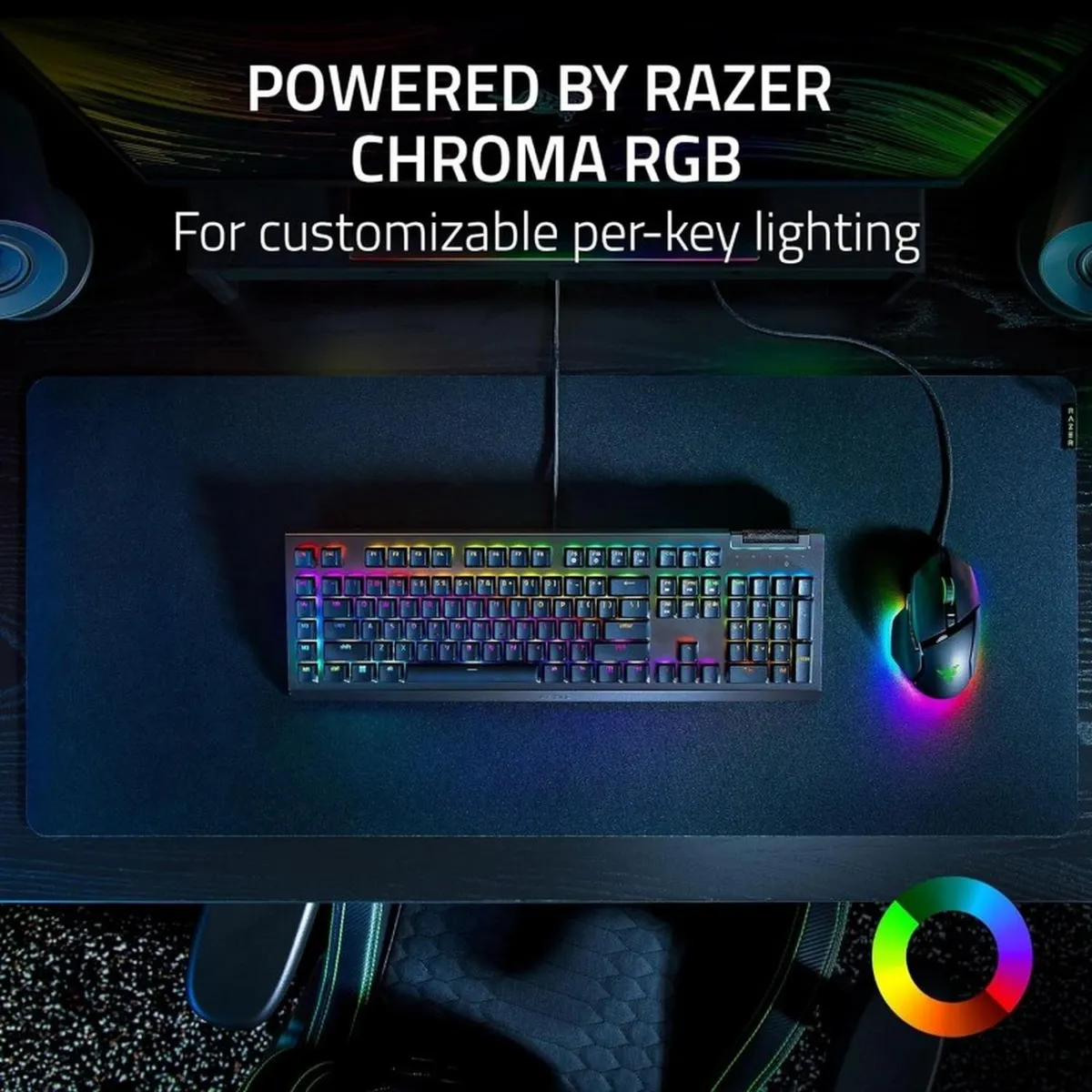RAZER - Teclado Razer BlackWidow V4 X