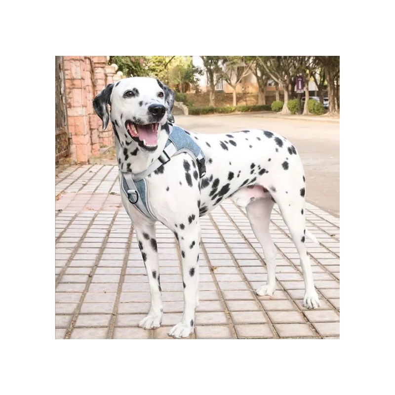 GENERICO - Arnés Anti Tirones Acolchados Para Perro Tallas S A Xxl