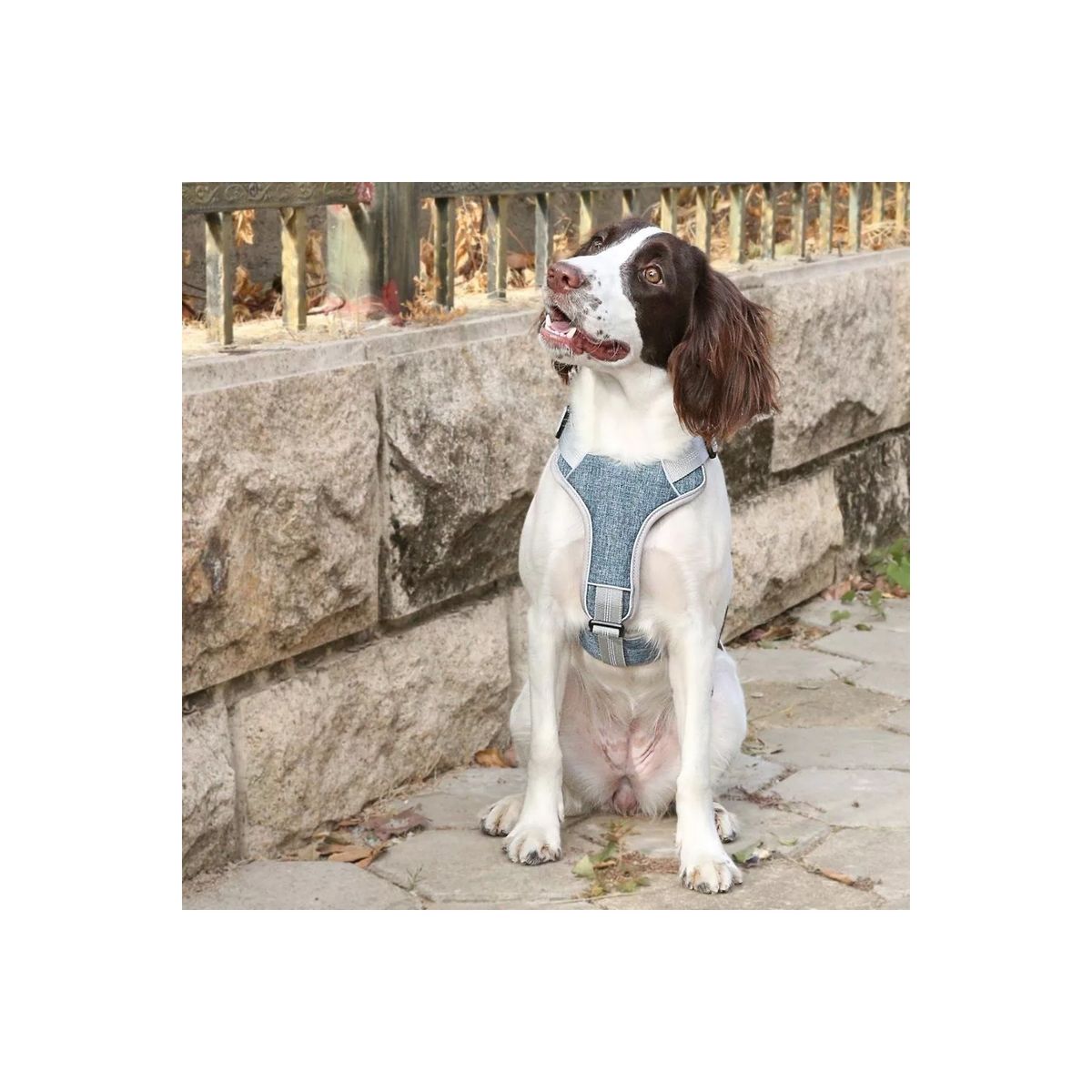 GENERICO - Arnés Anti Tirones Acolchados Para Perro Tallas S A Xxl