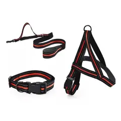 GENERICO - Correa + Collar +arnés Para Perros Talla S color Rojo