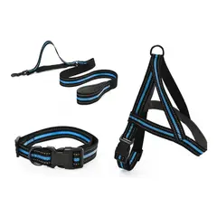 GENERICO - Correa + Collar +arnés Para Perros Talla S color Celeste
