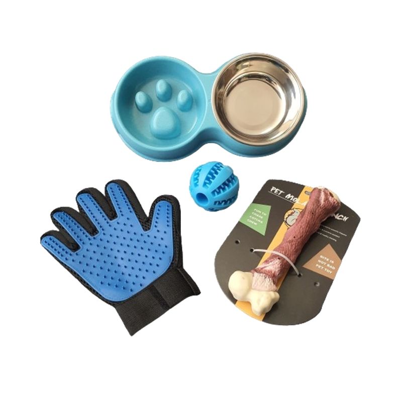 GENERICO - Set Plato De Comida Hueso Pelota Dental Guante Perro Mascota