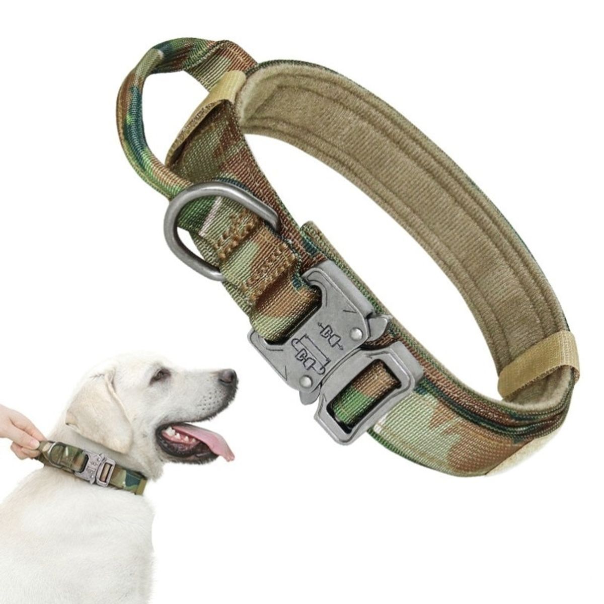 DEFENSOR FOREVER - Collar Táctico Perros Reforzado Ajustable Talla M Militar