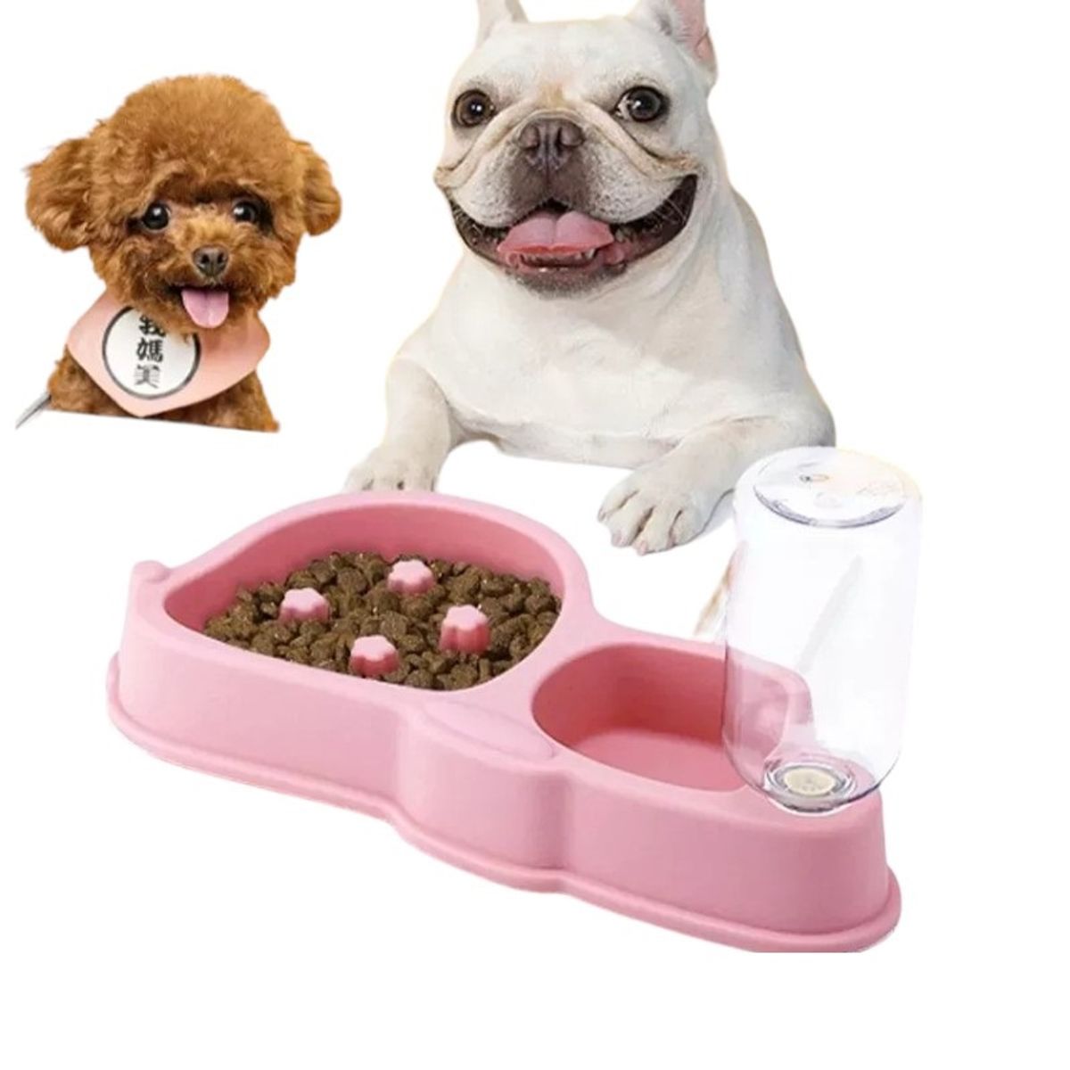 GENERICO - Dispensador De Agua + Plato Antiansiedad ahogo Rosa