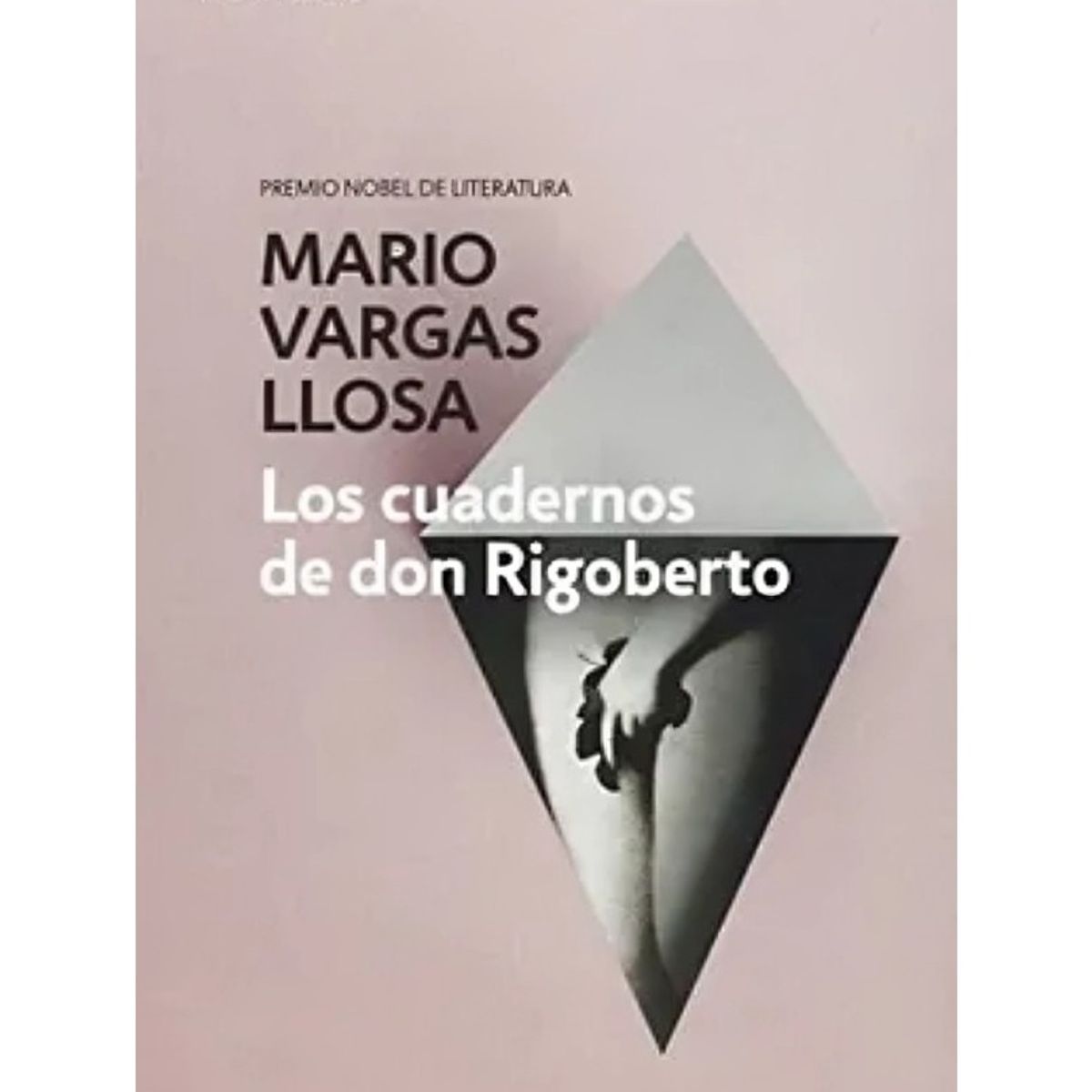 TOP10BOOKS - LIBRO Los Cuadernos De Don Rigoberto - Los Cuadernos De Don Rigoberto