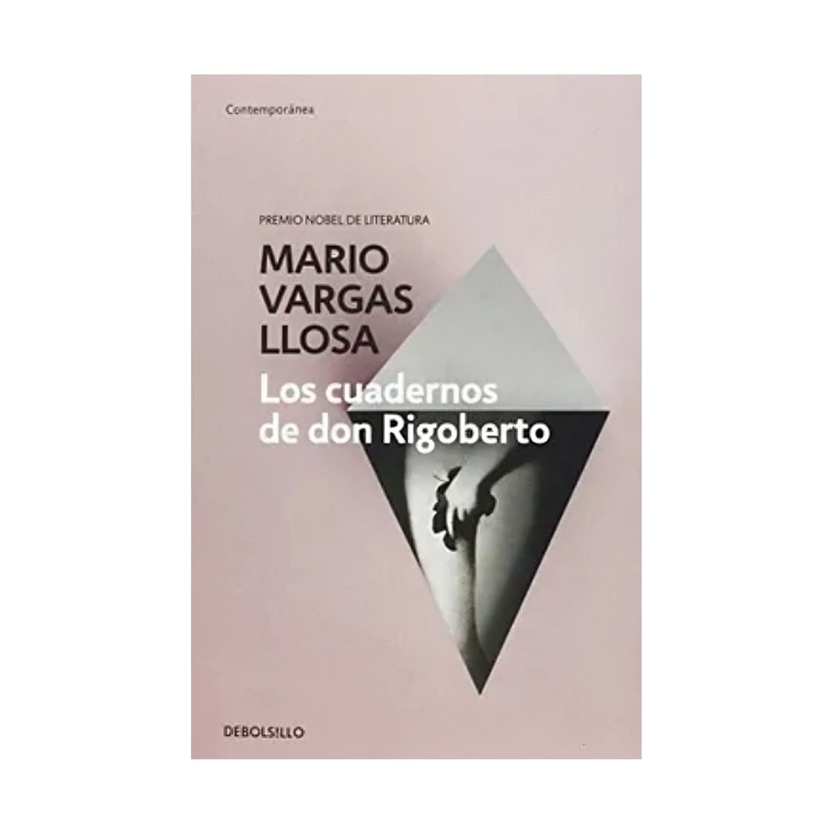 TOP10BOOKS - LIBRO Los Cuadernos De Don Rigoberto - Los Cuadernos De Don Rigoberto