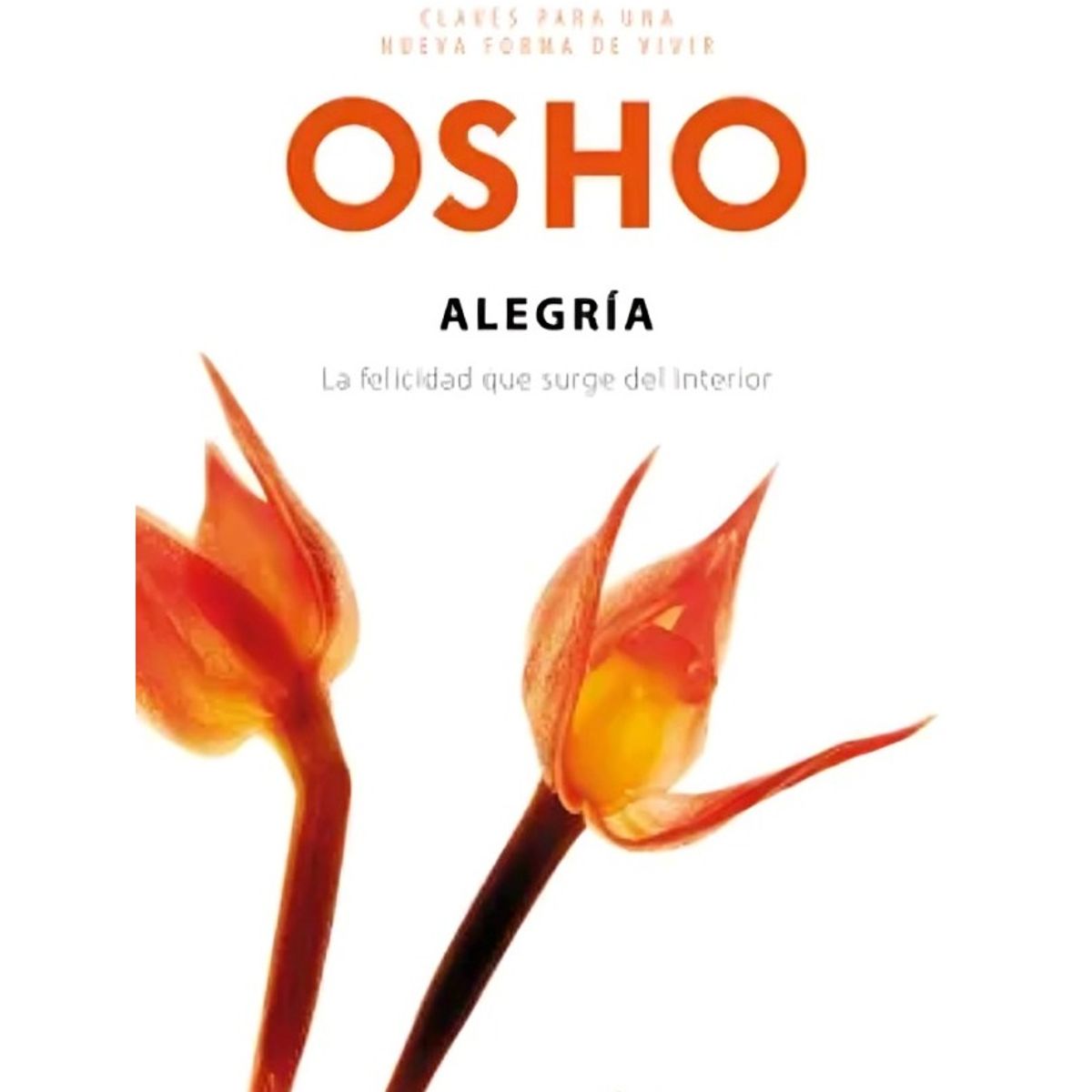 TOP10BOOKS - LIBRO Alegría - Alegría