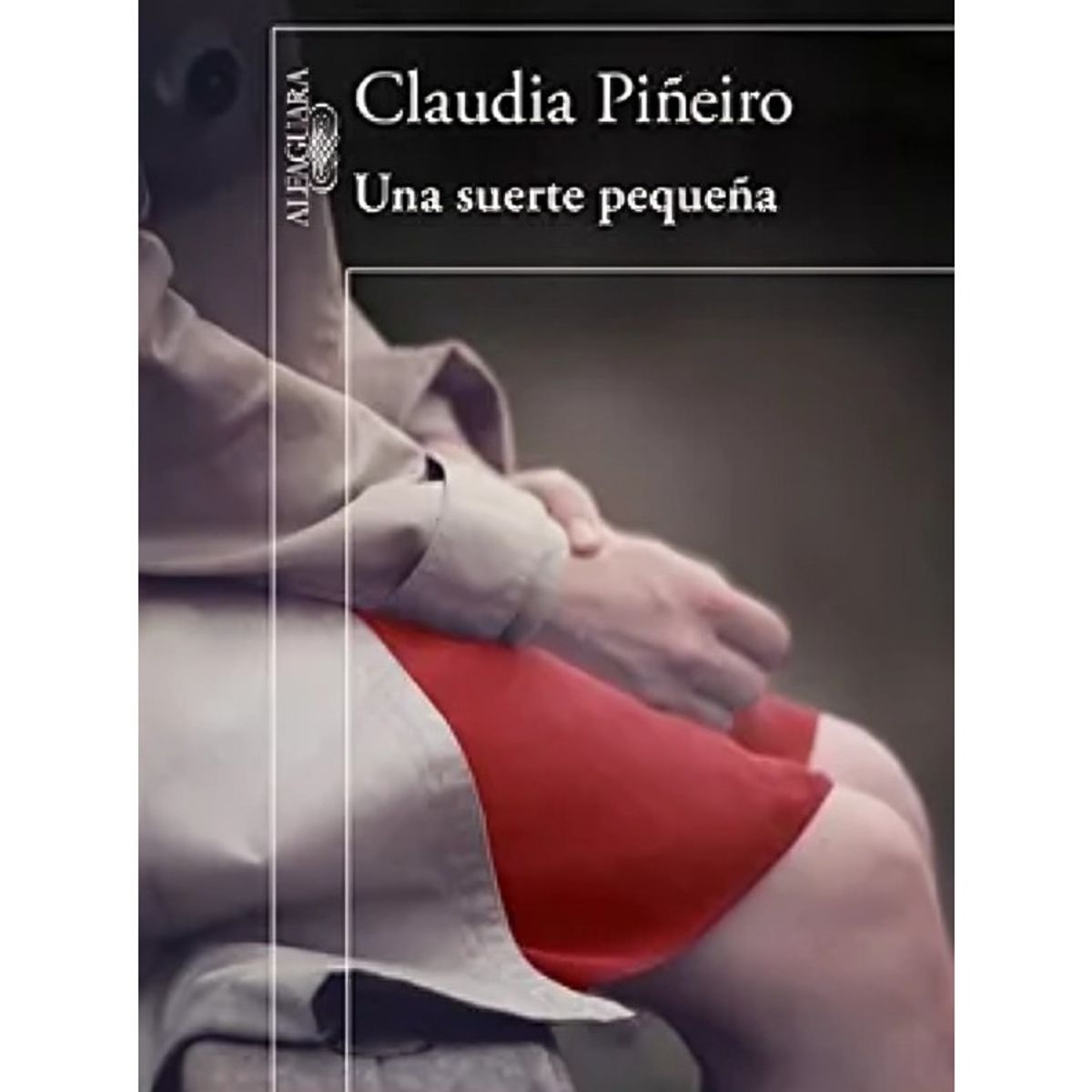 TOP10BOOKS - LIBRO Una Suerte Pequeña - Claudia Piñeiro