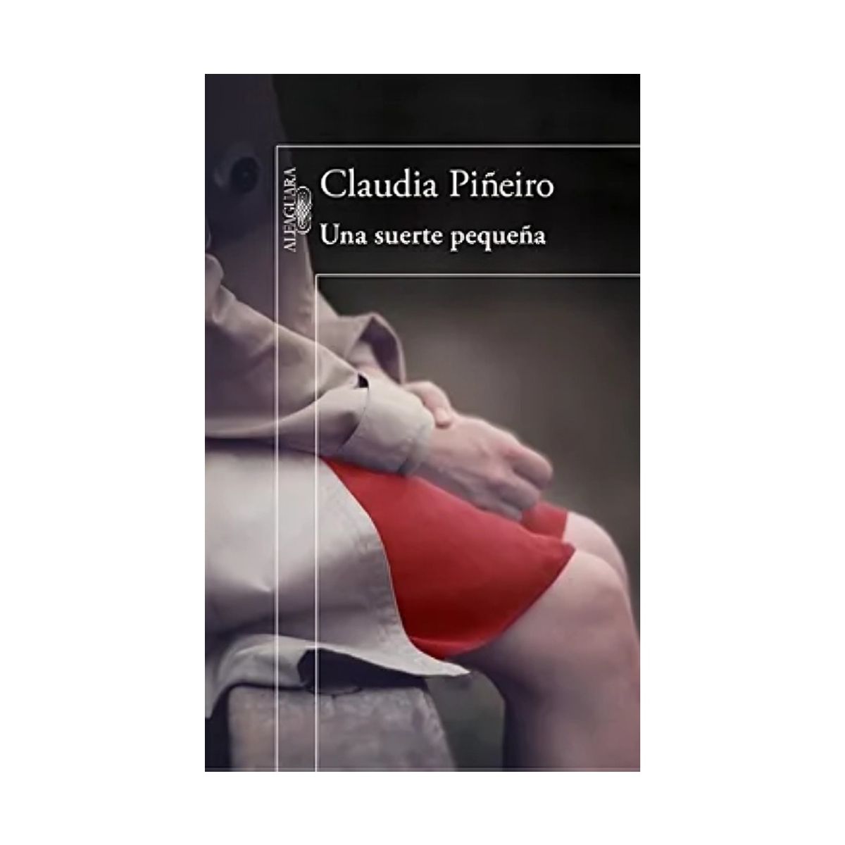 TOP10BOOKS - LIBRO Una Suerte Pequeña - Claudia Piñeiro
