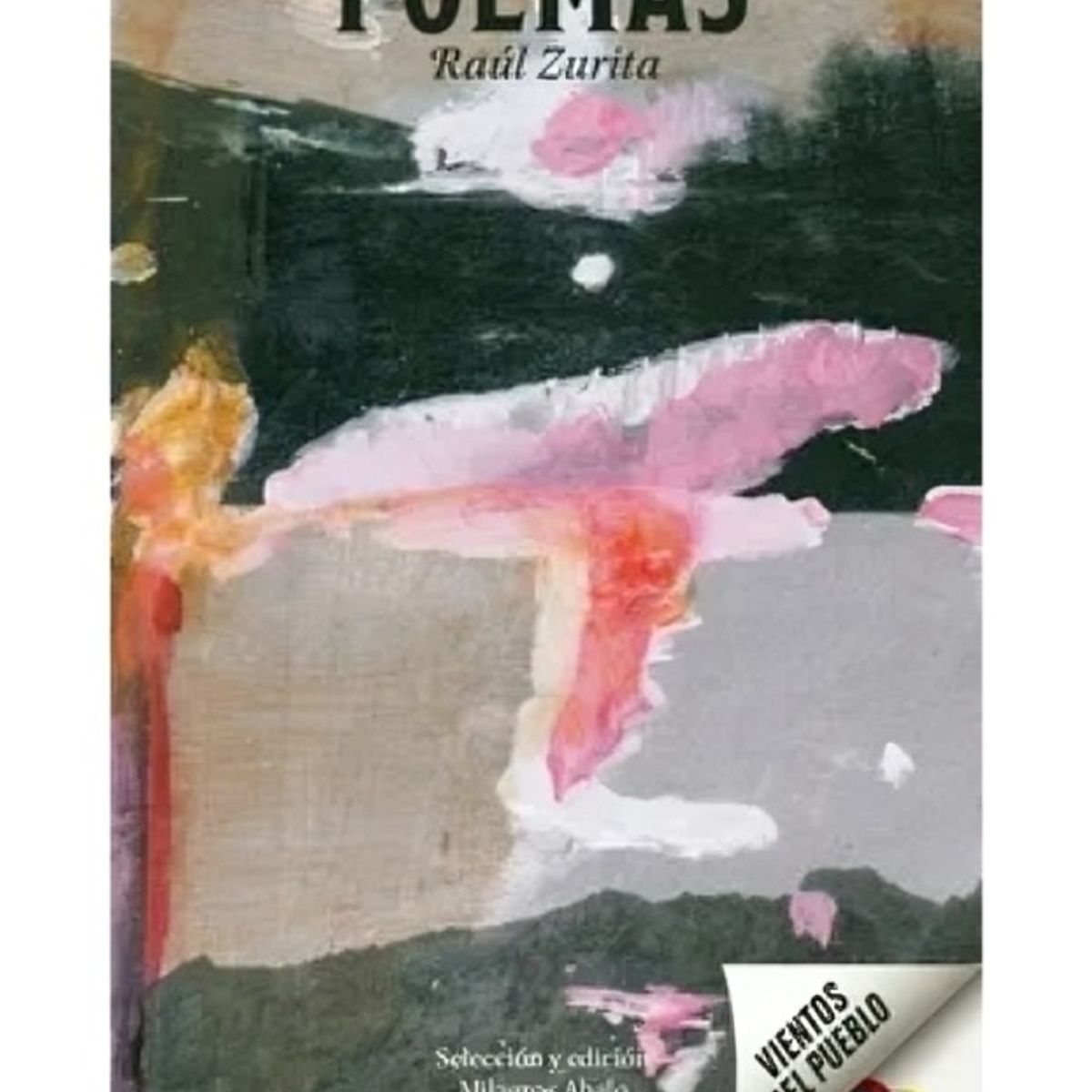 TOP10BOOKS - LIBRO Poemas. Raúl Zurita - Poemas. Raúl Zurita
