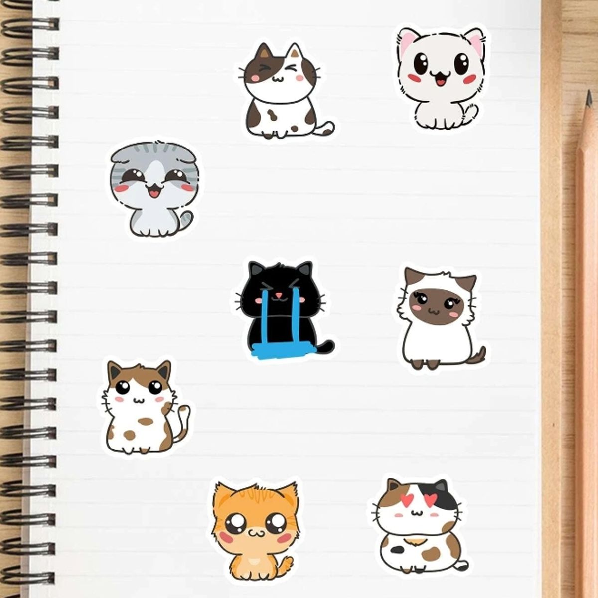 GENERICO - Stickers con patrón de gato 10 unidades al azar