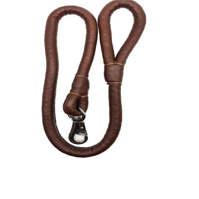 GENERICO - Correa Corta Trafico para Perros Entrenamiento 130cm