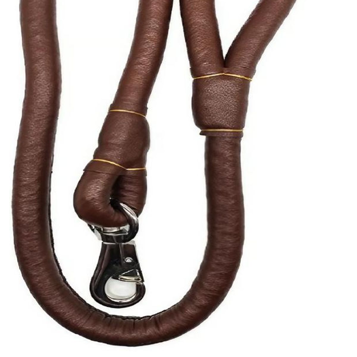 GENERICO - Correa Paseo Para Perro Mascota 113cm