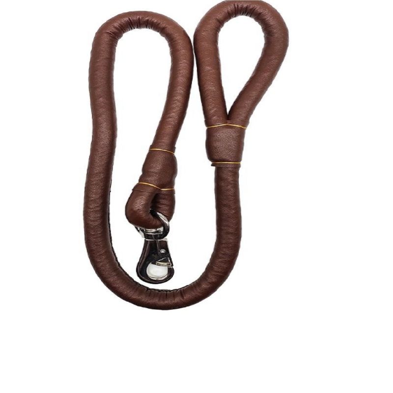 GENERICO - Correa Paseo Para Perro Mascota 113cm