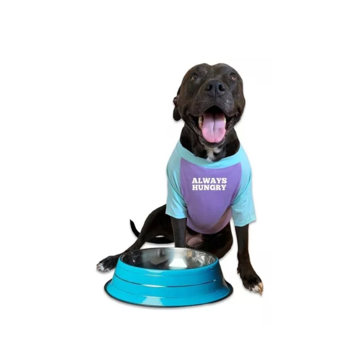 GENERICO - Plato Comedero Aluminio Grande Colores Para Mascotas Perros