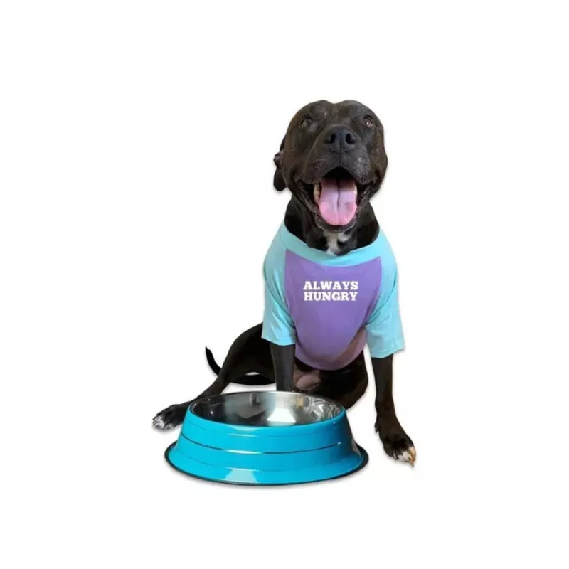 GENERICO - Plato Comedero Aluminio Grande Colores Para Mascotas Perros