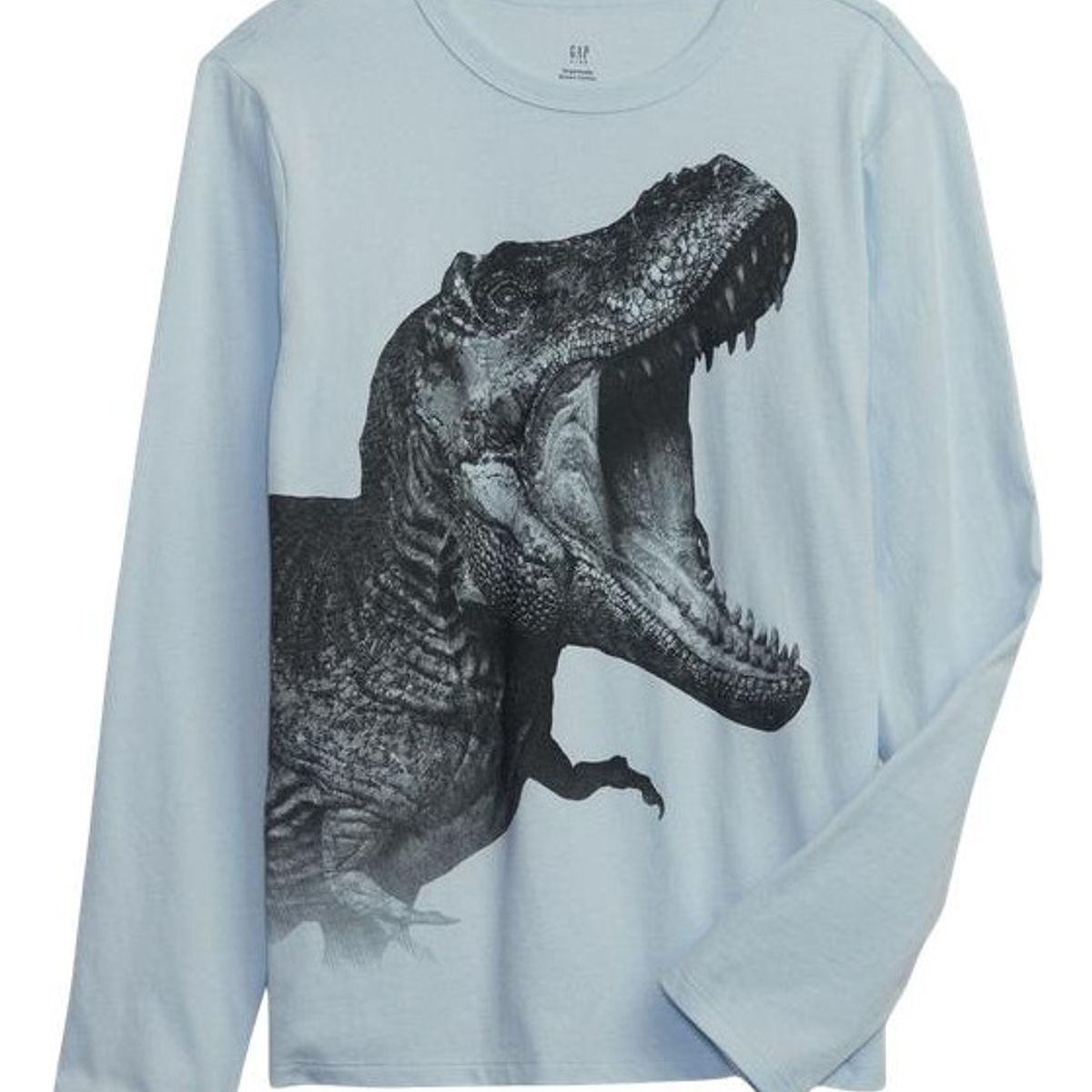 GAP - Polera Manga Larga Gráfica Celeste GAP