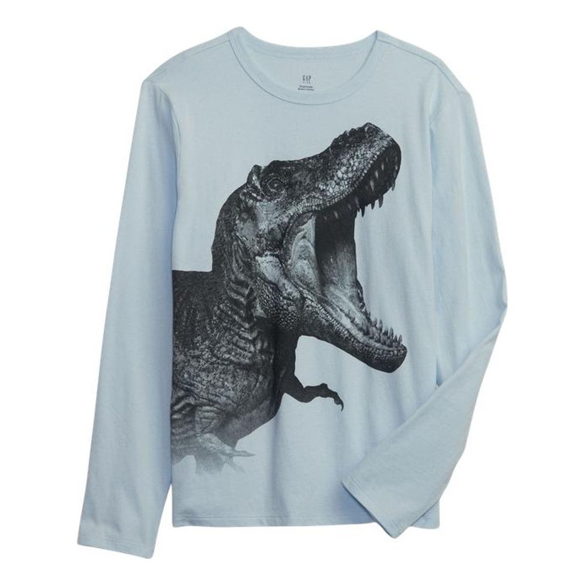 GAP - Polera Manga Larga Gráfica Celeste GAP