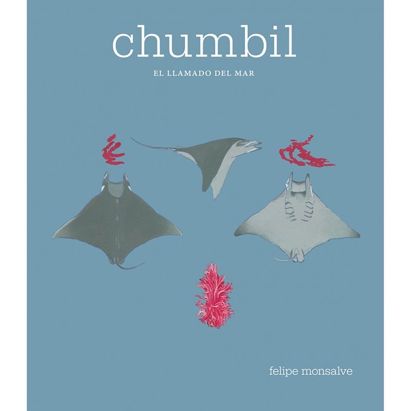PENGUIN RANDOM HOUSE - LIBRO Chumbil