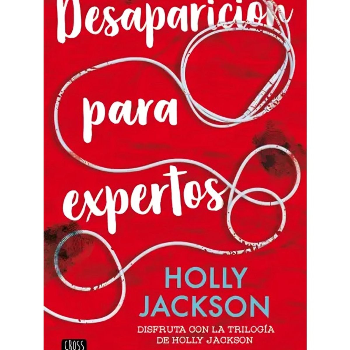 TOP10BOOKS - LIBRO Desaparición Para Expertos - Holly Jackson