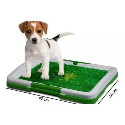 Imagen 2 del producto Baño para perros y gatos ecologico mascotas 3 niveles 47x34